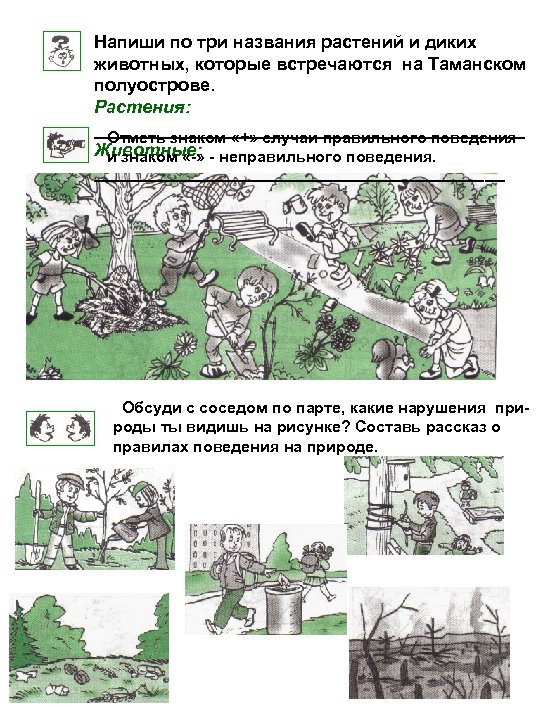 Напиши по три названия растений и диких животных, которые встречаются на Таманском полуострове. Растения: