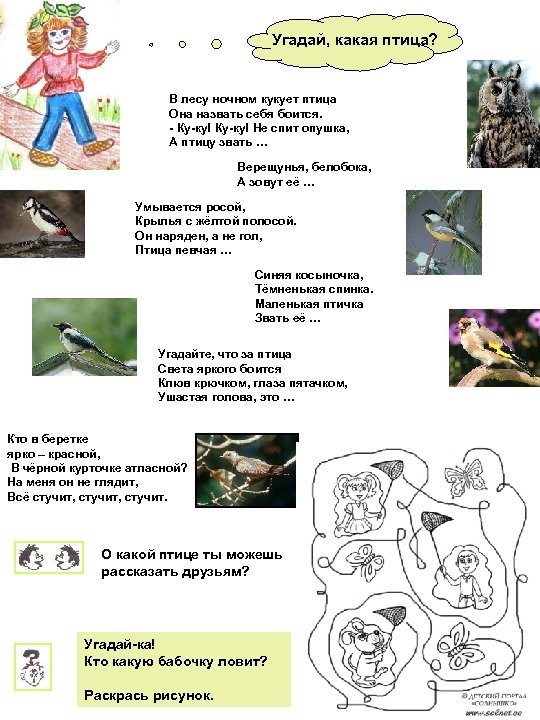 Угадай, какая птица? В лесу ночном кукует птица Она назвать себя боится. - Ку-ку!