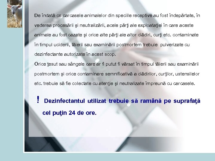 De îndată ce carcasele animalelor din speciile receptive au fost îndepărtate, în vederea procesării