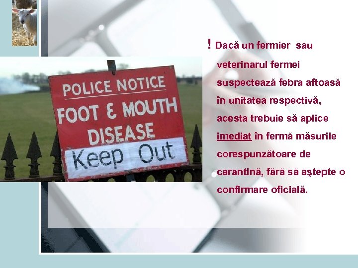  ! Dacă un fermier sau veterinarul fermei suspectează febra aftoasă în unitatea respectivă,