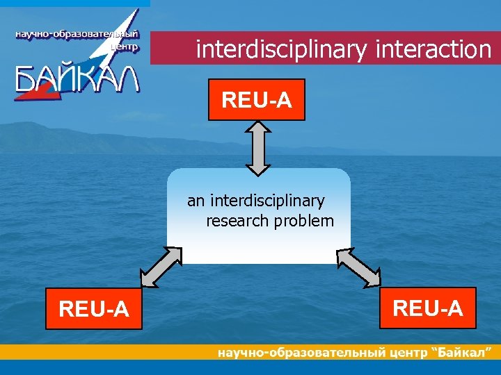 interdisciplinary interaction REU-A an interdisciplinary research problem REU-A 