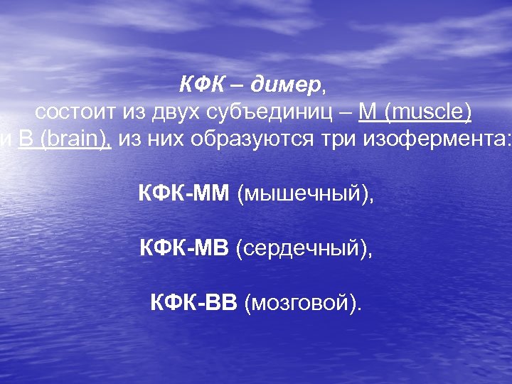 КФК – димер, состоит из двух субъединиц – М (muscle) и B (brain), из