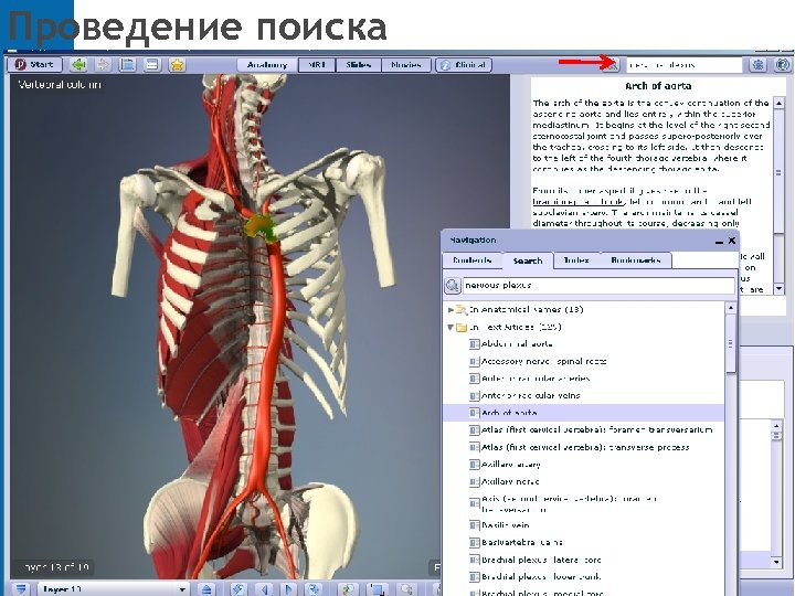 Проведение поиска 