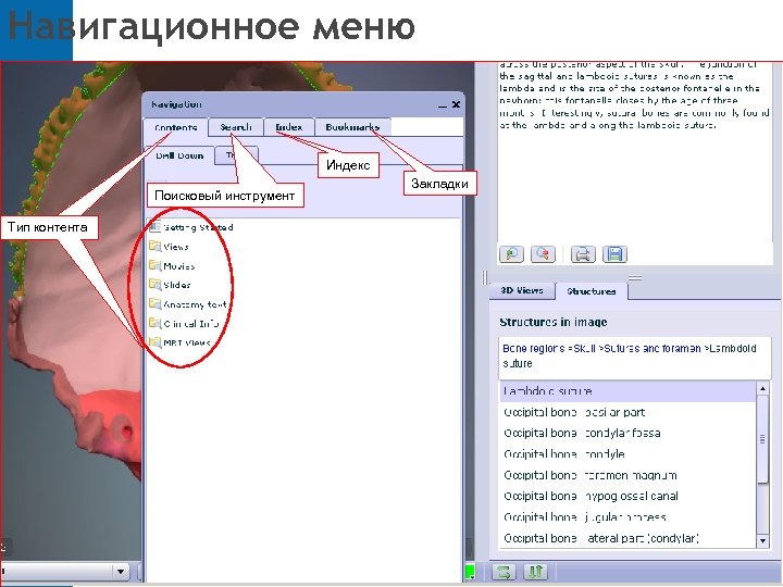 Навигационное меню Индекс Поисковый инструмент Тип контента Закладки 