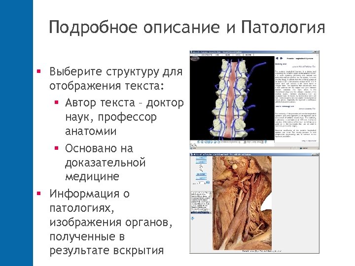 Подробное описание и Патология Выберите структуру для отображения текста: Автор текста – доктор наук,