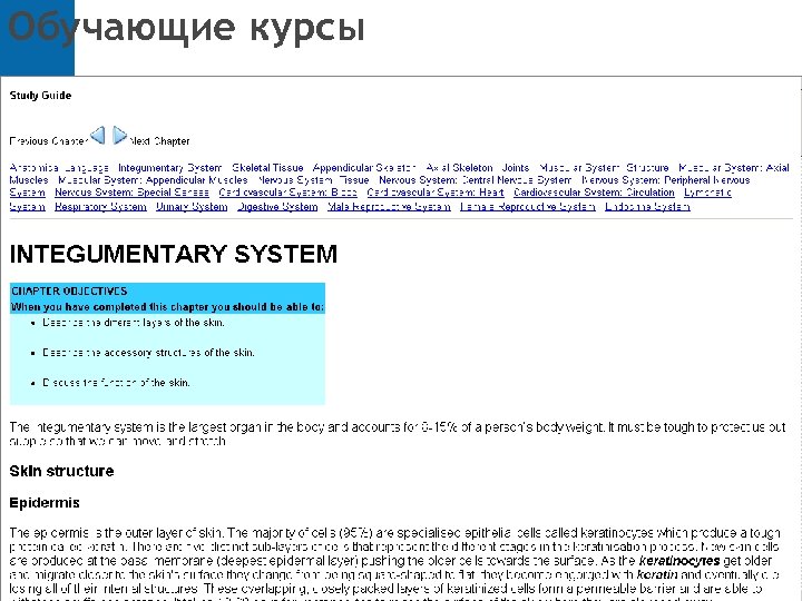 Обучающие курсы 