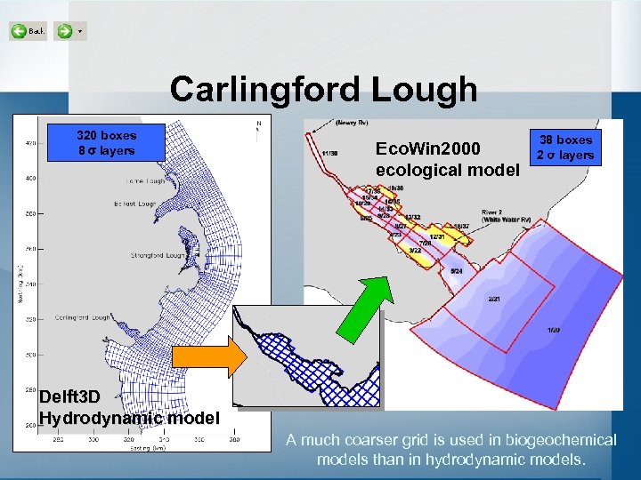 Carlingford Lough 320 boxes 8 s layers Eco. Win 2000 ecological model 38 boxes