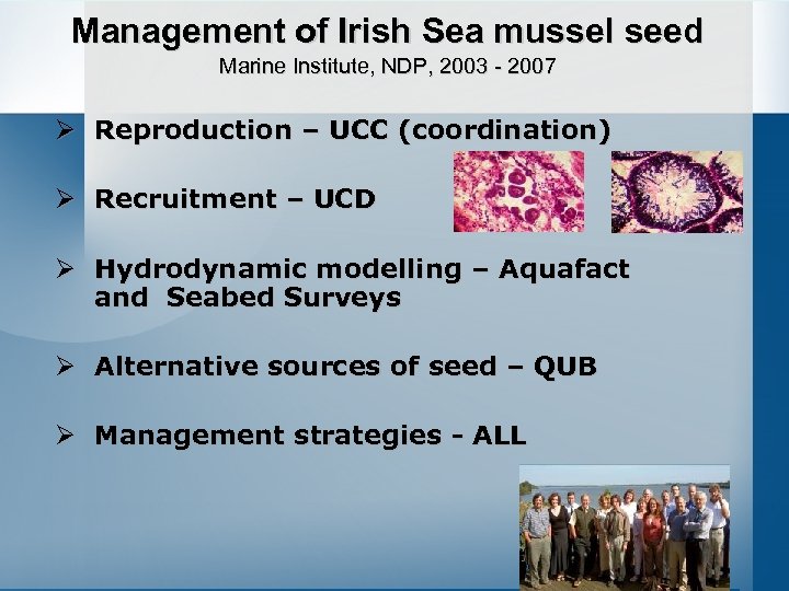 Management of Irish Sea mussel seed Marine Institute, NDP, 2003 - 2007 Ø Reproduction