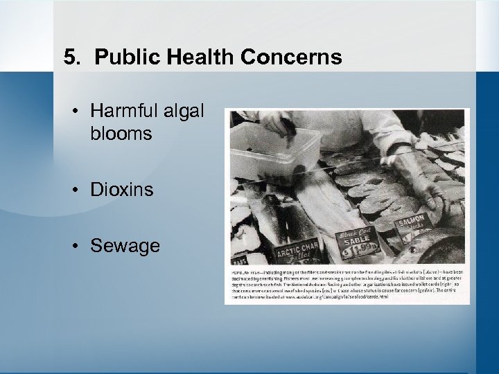 5. Public Health Concerns • Harmful algal blooms • Dioxins • Sewage 