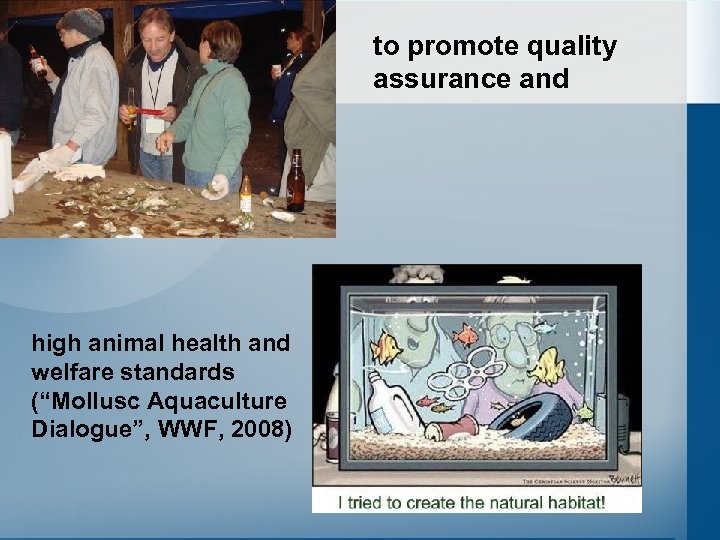 to promote quality assurance and high animal health and welfare standards (“Mollusc Aquaculture Dialogue”,