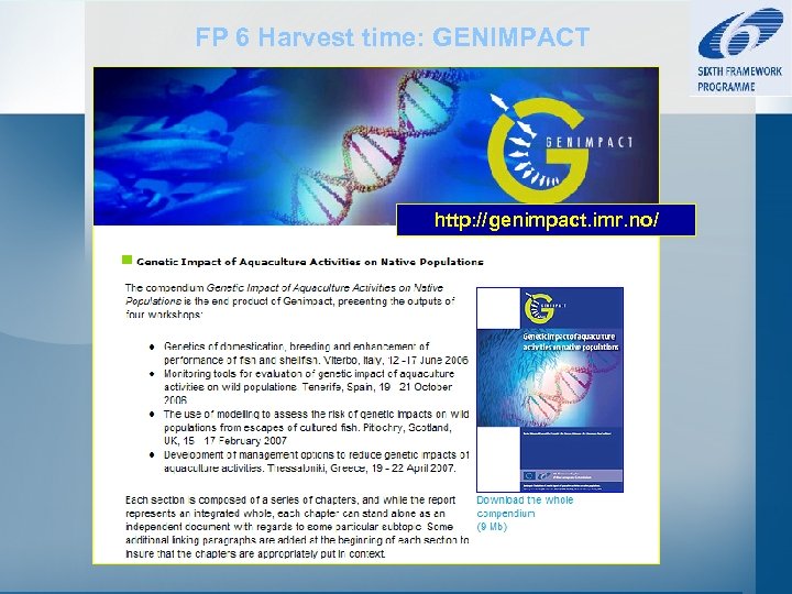 FP 6 Harvest time: GENIMPACT http: //genimpact. imr. no/ 