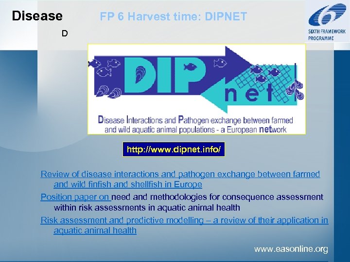 Disease FP 6 Harvest time: DIPNET D http: //www. dipnet. info/ Review of disease