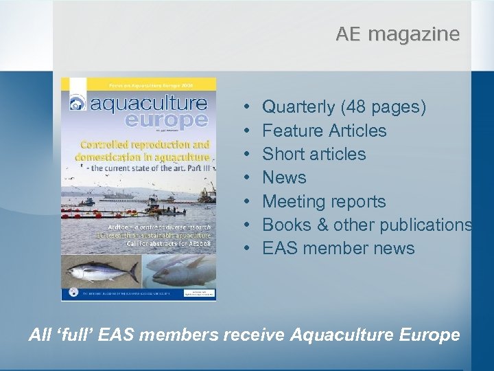 AE magazine • • Quarterly (48 pages) Feature Articles Short articles News Meeting reports