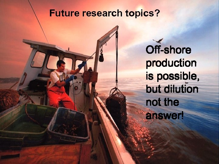 Future research topics? Off-shore production is possible, but dilution not the answer! 