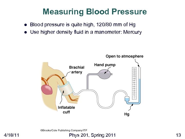 Measuring Blood Pressure l l 4/18/11 Blood pressure is quite high, 120/80 mm of