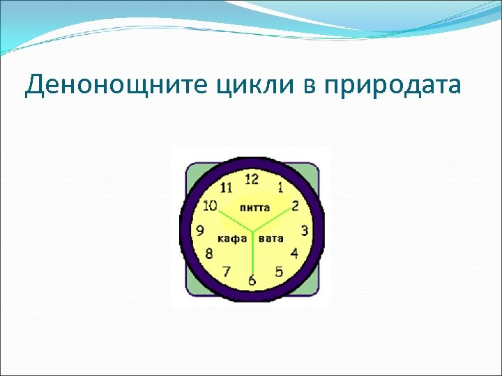 Денонощните цикли в природата 