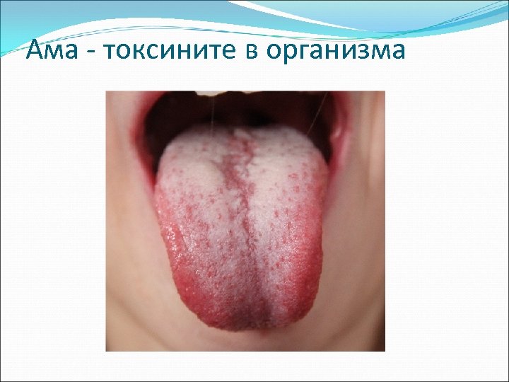 Ама - токсините в организма 