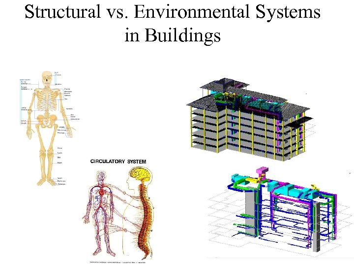 Structural vs. Environmental Systems in Buildings 