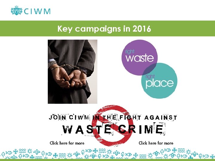 Key campaigns in 2016 