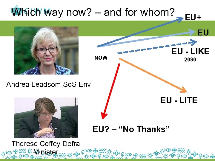 Which way now? – and for whom? EU+ EU EU - LIKE NOW 2030