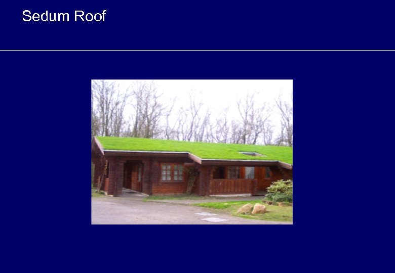 Sedum Roof 