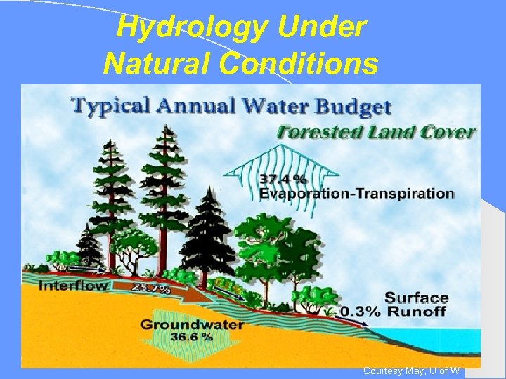 Hydrology Under Natural Conditions 3/15/2018 18 Courtesy May, U of W 