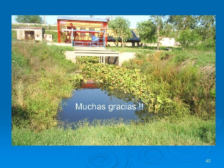  Muchas gracias !! 40 