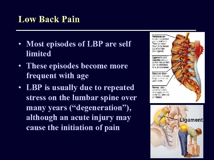 Low Back Pain • Most episodes of LBP are self limited • These episodes