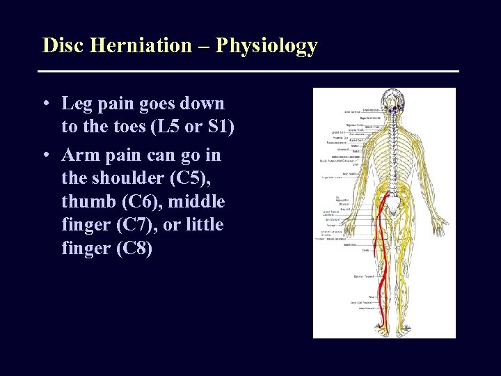 Disc Herniation – Physiology • Leg pain goes down to the toes (L 5