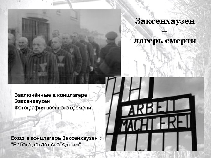 Заксенхаузен – лагерь смерти Заключённые в концлагере Заксенхаузен. Фотография военного времени. Вход в концлагерь