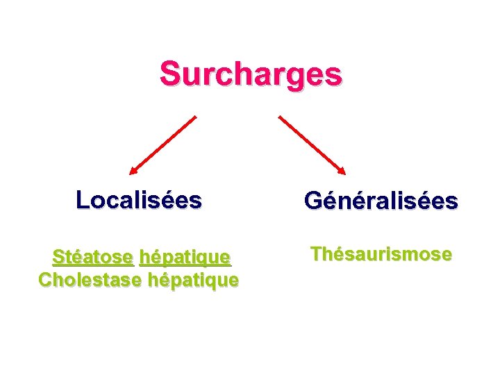 Surcharges Localisées Généralisées Stéatose hépatique Cholestase hépatique Thésaurismose 