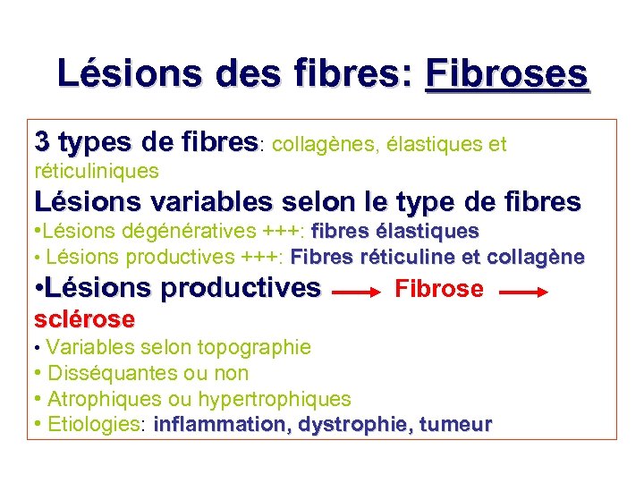 Lésions des fibres: Fibroses 3 types de fibres: collagènes, élastiques et réticuliniques Lésions variables