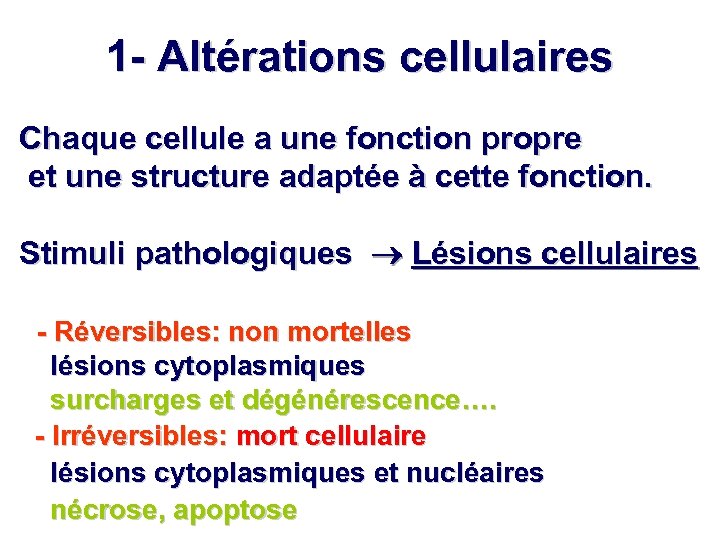 1 - Altérations cellulaires Chaque cellule a une fonction propre et une structure adaptée