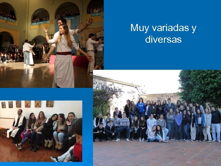 Muy variadas y diversas 