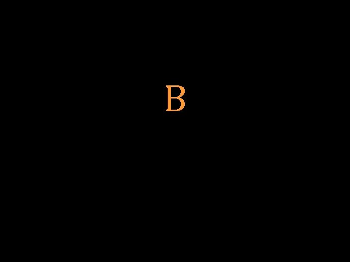 B 
