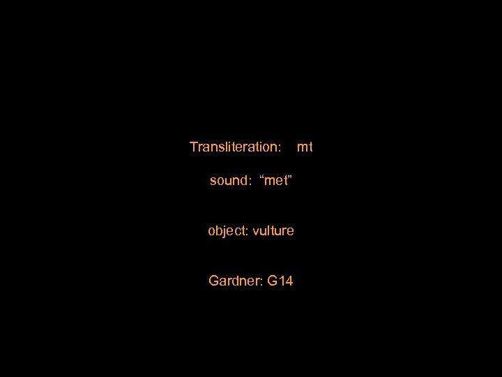Transliteration: sound: “met” object: vulture Gardner: G 14 mt 