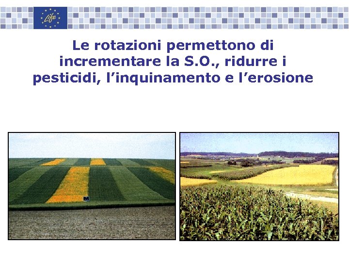 Le rotazioni permettono di incrementare la S. O. , ridurre i pesticidi, l’inquinamento e