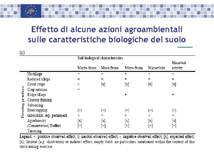 Effetto di alcune azioni agroambientali sulle caratteristiche biologiche del suolo 