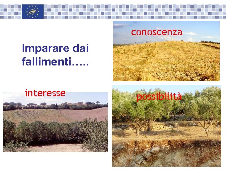 conoscenza Imparare dai fallimenti…. . interesse possibilità 