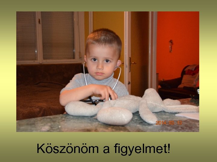 Köszönöm a figyelmet! 