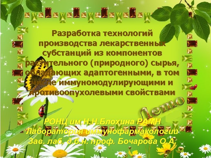 Разработка технологий производства лекарственных субстанций из компонентов растительного (природного) сырья, обладающих адаптогенными, в том