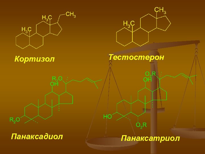 Кортизол Панаксадиол Тестостерон Панаксатриол 