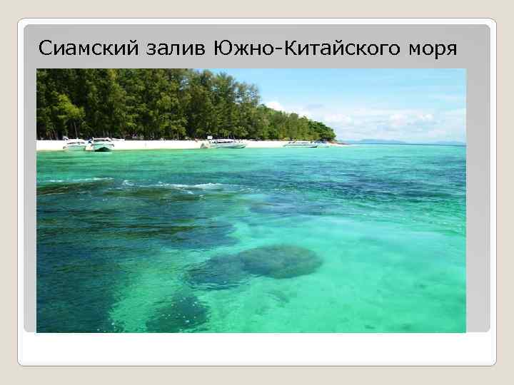 Сиамский залив Южно-Китайского моря 
