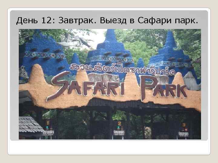 День 12: Завтрак. Выезд в Сафари парк. 