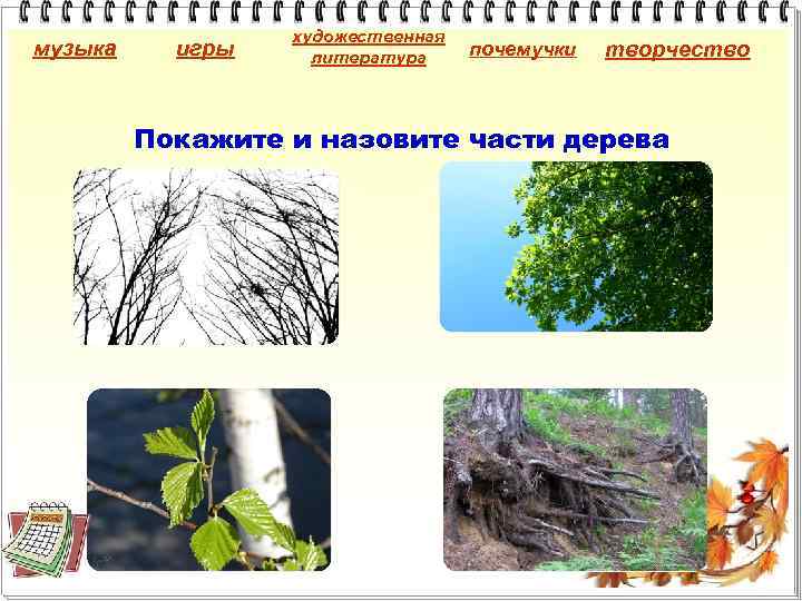 музыка игры художественная литература почемучки творчество Покажите и назовите части дерева 