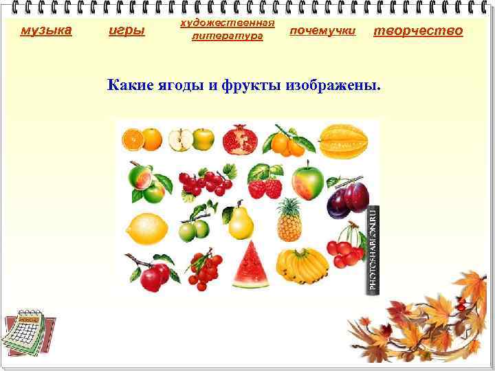 музыка игры художественная литература почемучки творчество Какие ягоды и фрукты изображены. 