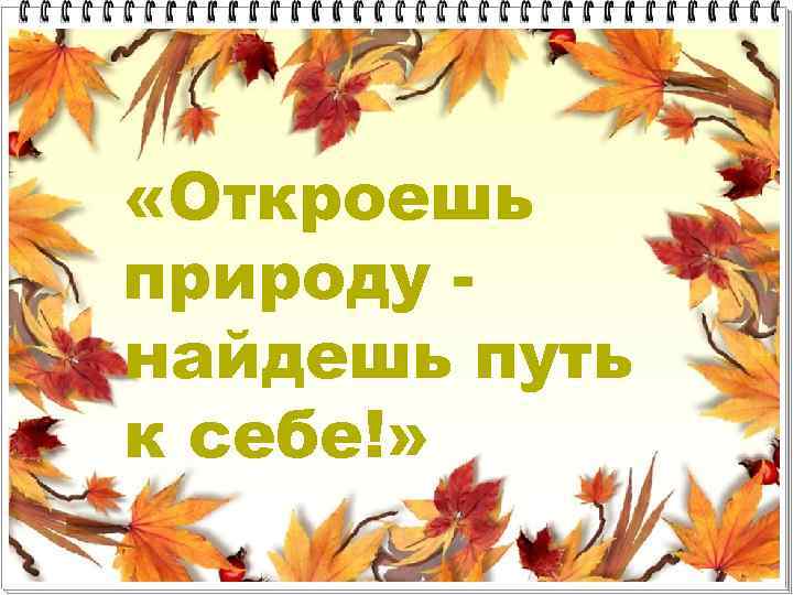  «Откроешь природу найдешь путь к себе!» 