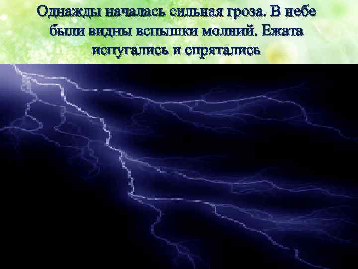 Однажды началась сильная гроза. В небе были видны вспышки молний. Ежата испугались и спрятались