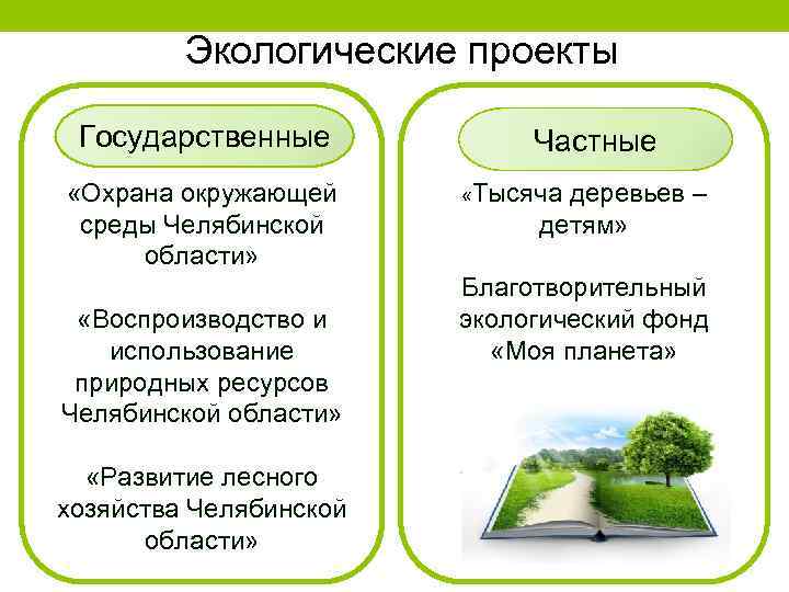 Проект по экологии 11 класс. Охрана окружающей среды Челябинской области. Экологические проекты Челябинской области.