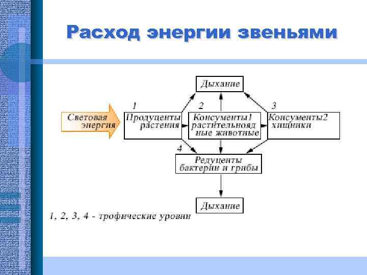 Расход энергии звеньями 